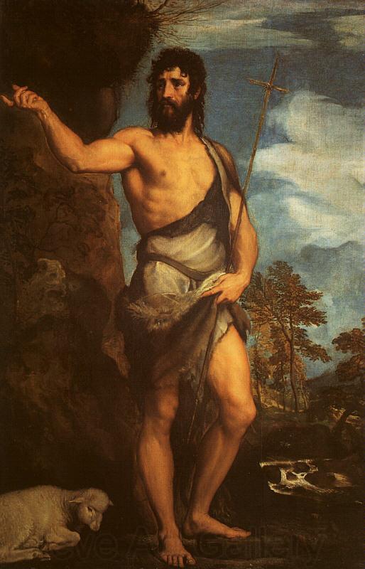  Titian St.John the Baptist France oil painting art